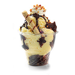 ice cream frozen yogurt cones wholesale supplies toppings bulk rdi